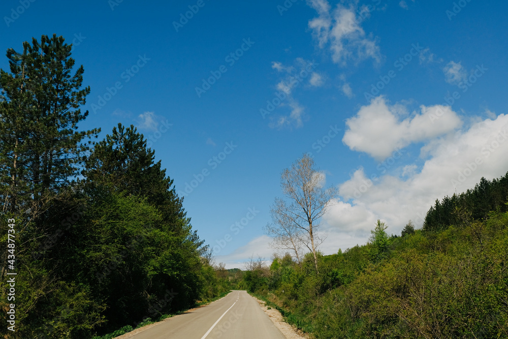 road in the mountain forest