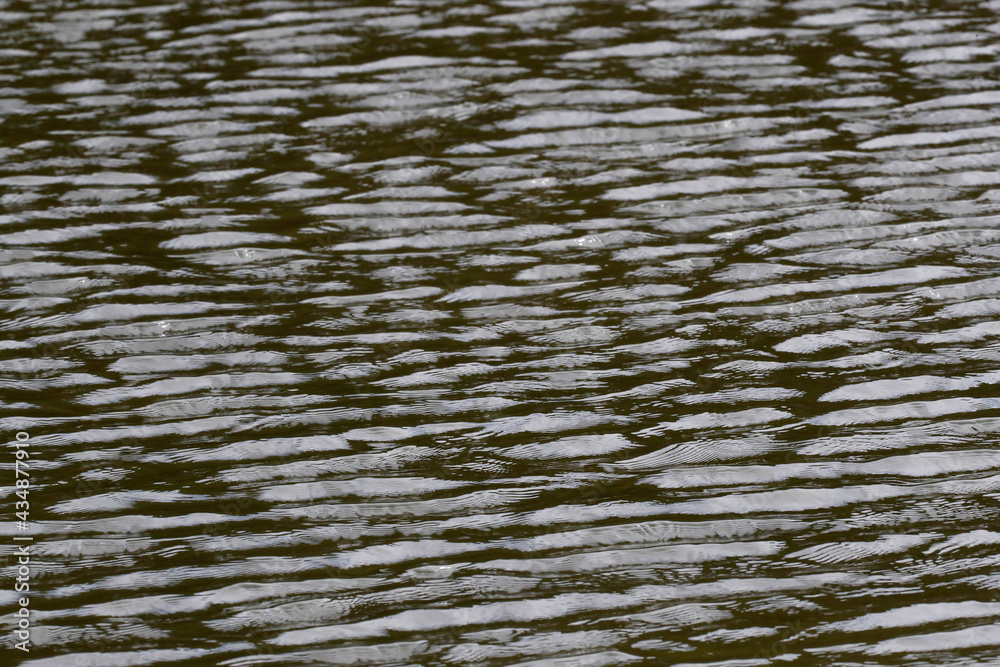 Water structures on lake. France.