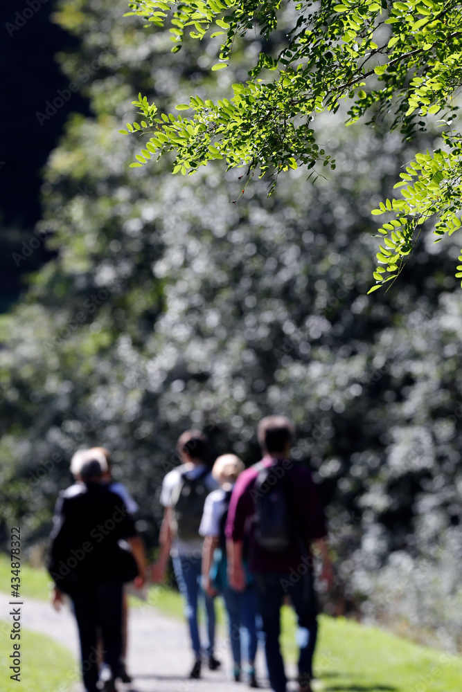 Group of persons walking on a path.