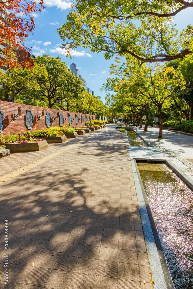 Obraz premium 東遊園地横の遊歩道 神戸市中央区三宮フラワーロードにて