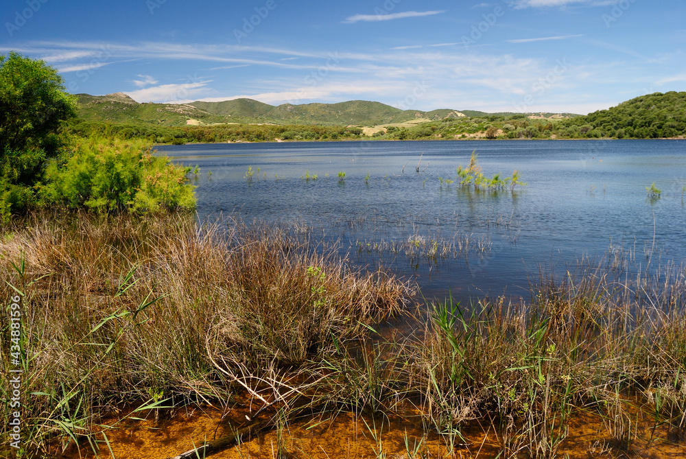 Veduta del lago Baratz, il solo naturale in Sardegna Veduta del lago Baratz, il solo naturale in Sardegna
