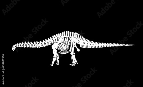 Graphical skeleton of diplodocus isolated on black background,vector illustration, tattoo,science