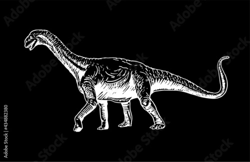 Graphical diplodocus on black background,dinosaur