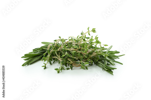 Fresh green herbs isolated on white background