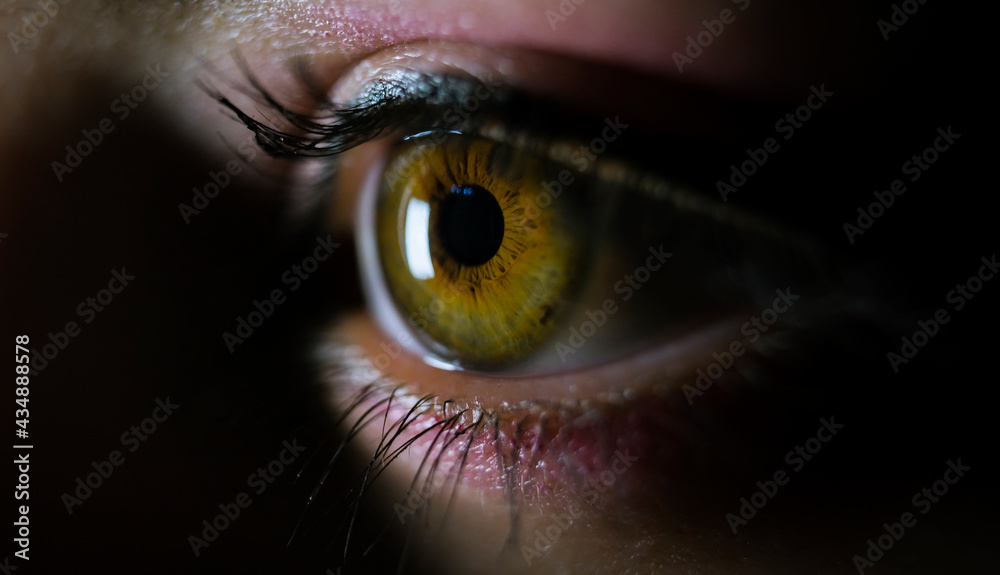 Foto cercada del iris y pupila de un ojo color amarillo verde avellana con muchos detalles 