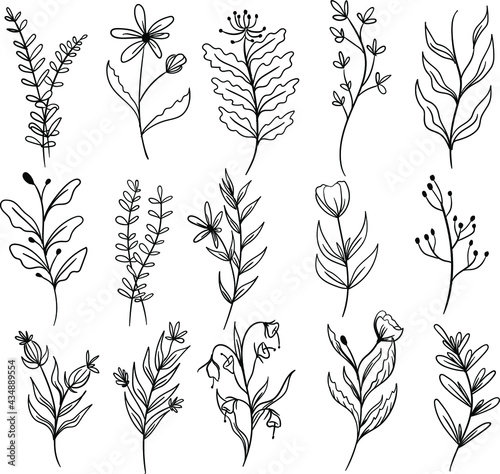 set botanical leaf doodle wildflower line art