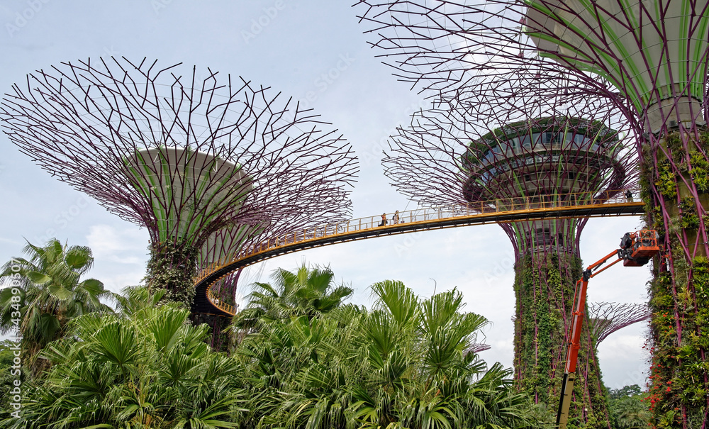 Fototapeta premium The 