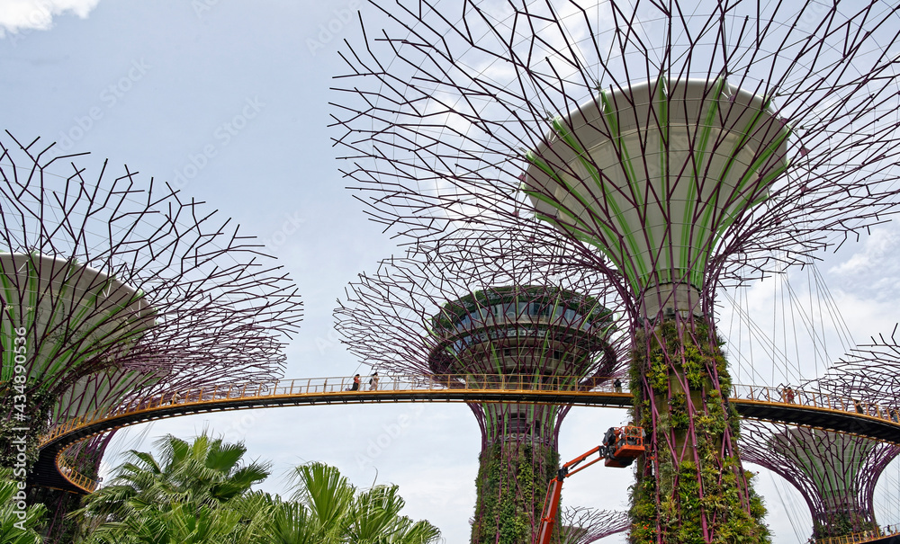 Fototapeta premium The