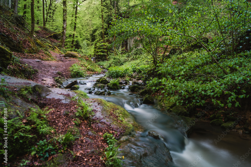 Mullerthal, la suisse luxembourgeoise