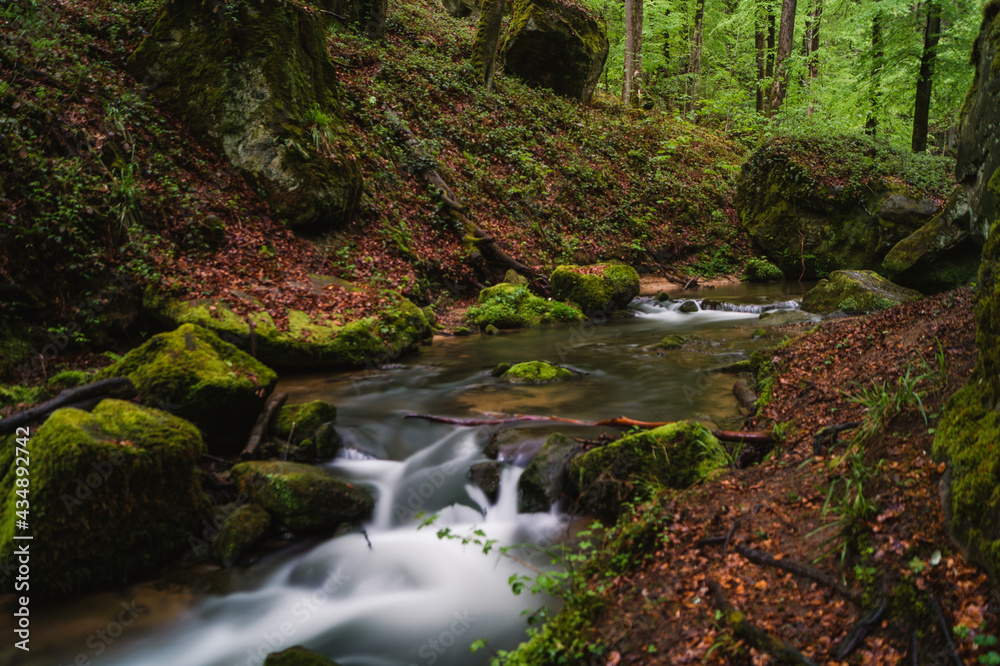 Obraz premium Mullerthal, la suisse luxembourgeoise