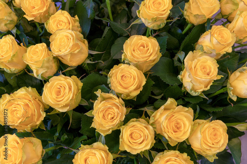 Yellow roses bouquet closeup. Background of roses.