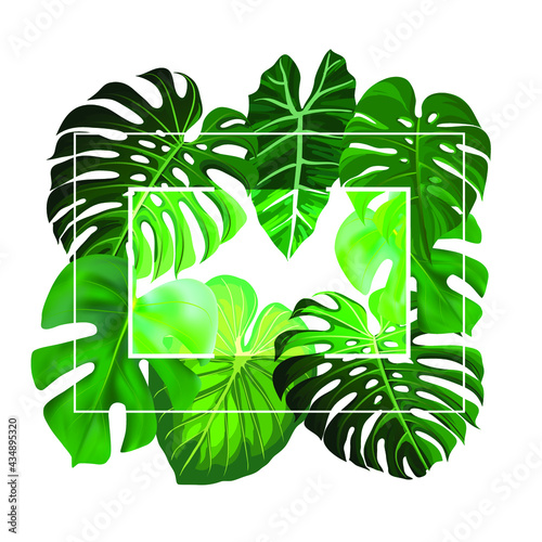 rectangle frame with tropical leaves- monstera leaves- vector frame tropical high resolution