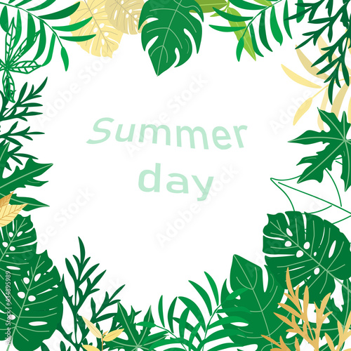 Summer background vector