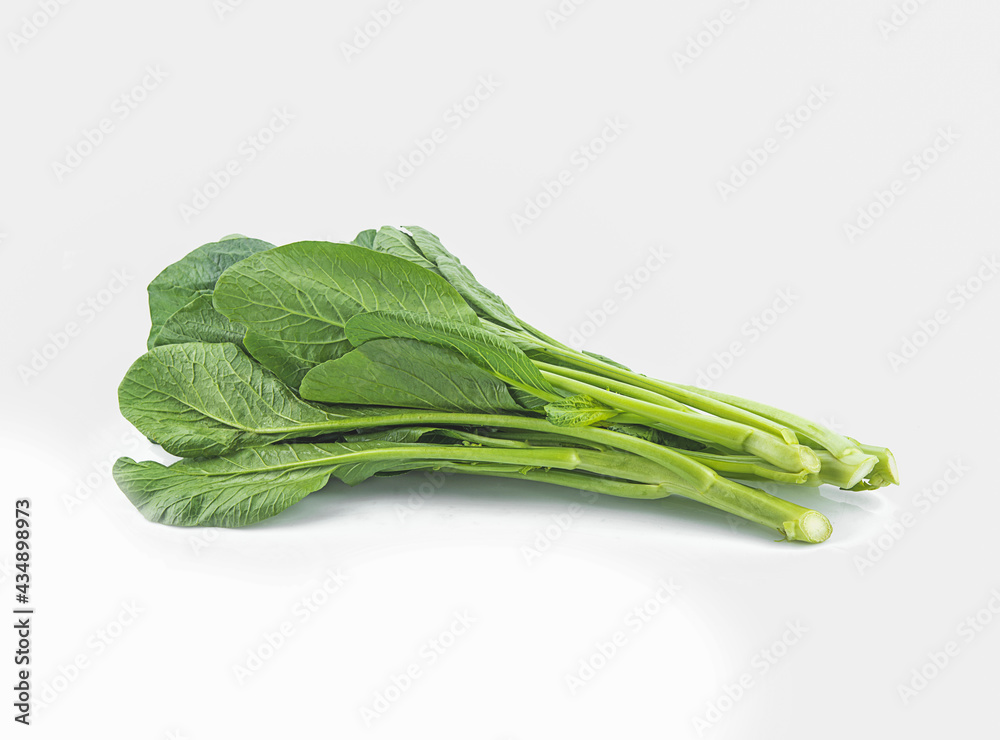 fresh organic lettuce cantonese on white background,isolated fresh organic lettuce cantonese on white background,isolated