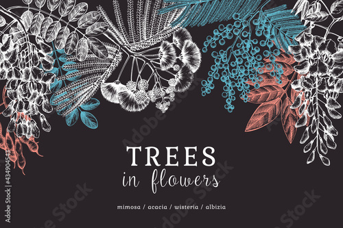 Vector banner with hand-sketched trees in flowers. Chalkboard design. Vintage illustrations on blooming wisteria, mimosa, albizia, acacia. Floral greeting card or invitation on dark blue background