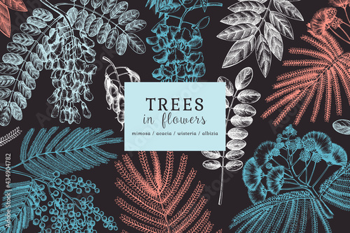 Vector banner with hand-sketched trees in flowers. Vintage illustrations on blooming wisteria, mimosa, albizia, acacia. Floral card or invitation design in chalkboard style.