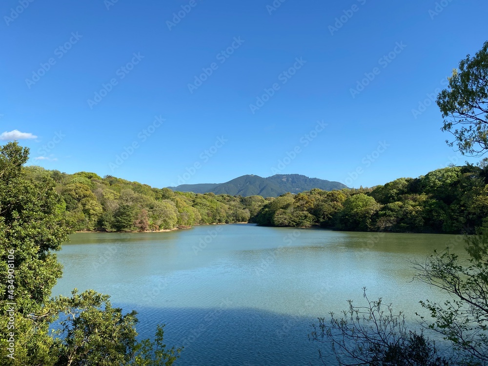 lake and forest