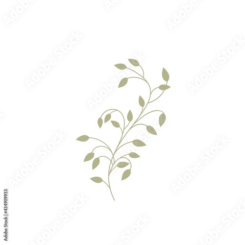 Vector templates of abstract leaf logo designs - for medical  yoga  spa classes  beauty.