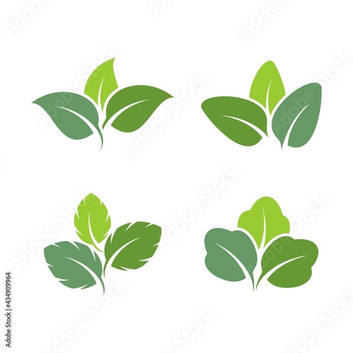 green leaf icons design template vector 