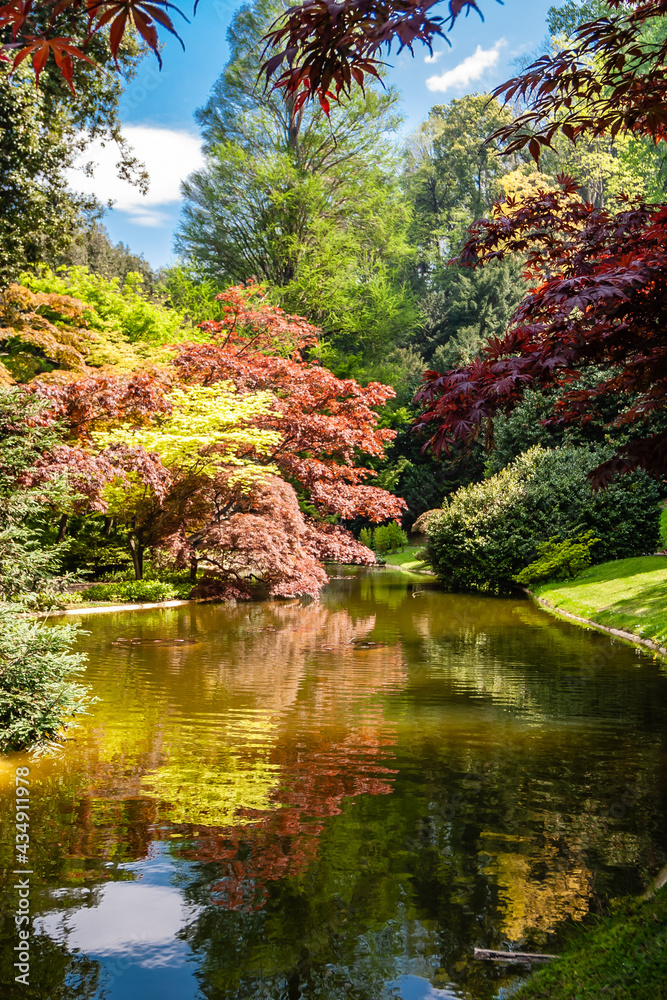 A beautiful garden which you can visit in Bellagio is located directly on Lake Como. A beautiful garden which you can visit in Bellagio is located directly on Lake Como.