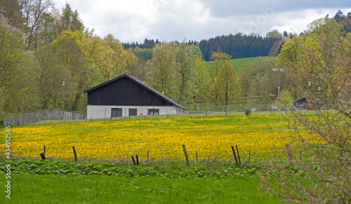 Wandern im Nationalpark Eifel photo