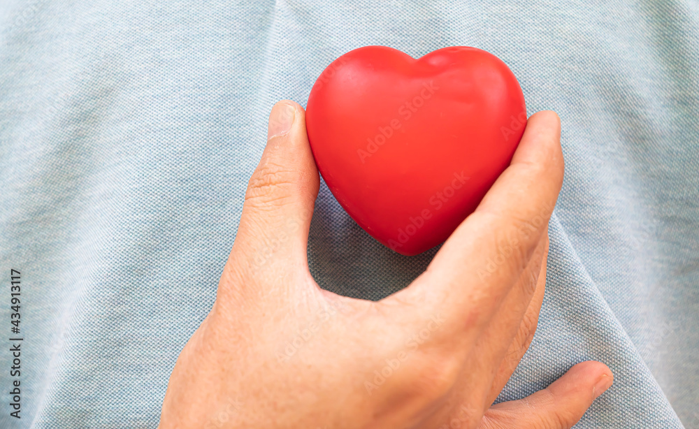 Fototapeta premium hand holding a red heart to his chest.Health, medicine, cardiology concept.Heart health insurance, organ donation concept.World mental health day.World heart health day.heart selective focus.
