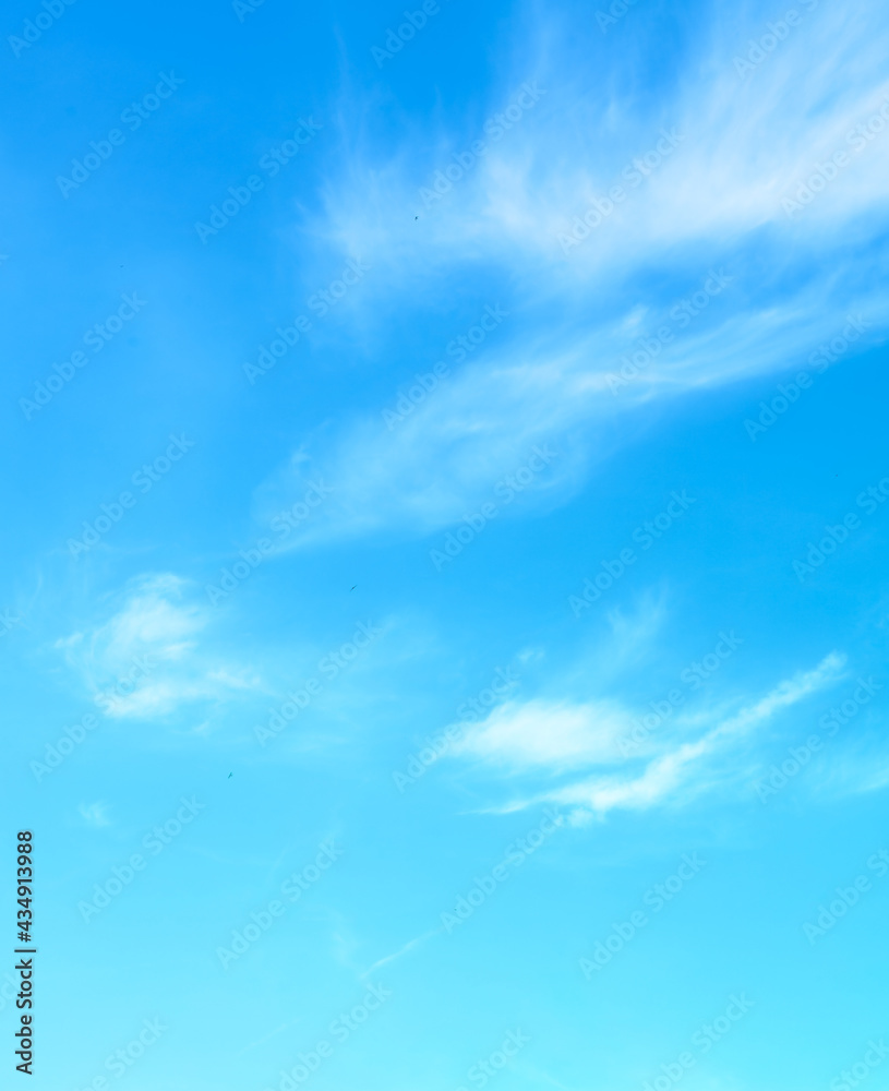 blue sky with beautiful natural white clouds
blue sky with beautiful natural white clouds