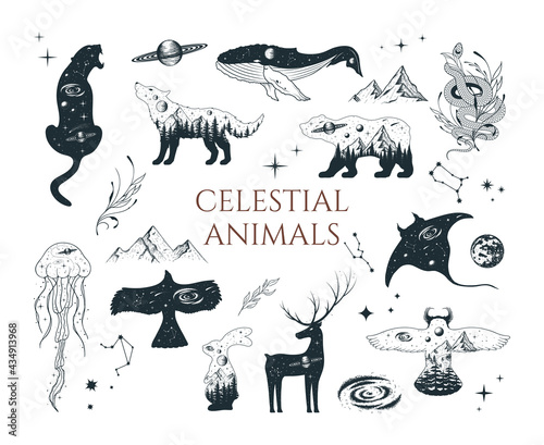 Hand drawn vector isolated collection of celestial animals. Mystical elements with stars, moon, galaxy, hare, deer, wolf, bear, owl, whale, stingray, jellyfish, panther, eagle. photo