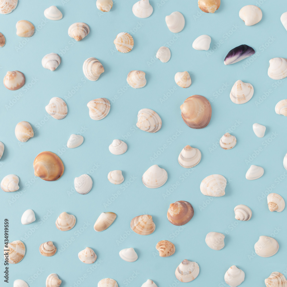 Pattern made with seashells on bright blue background. Minimal summer concept. Creative vacation idea. Flat lay.