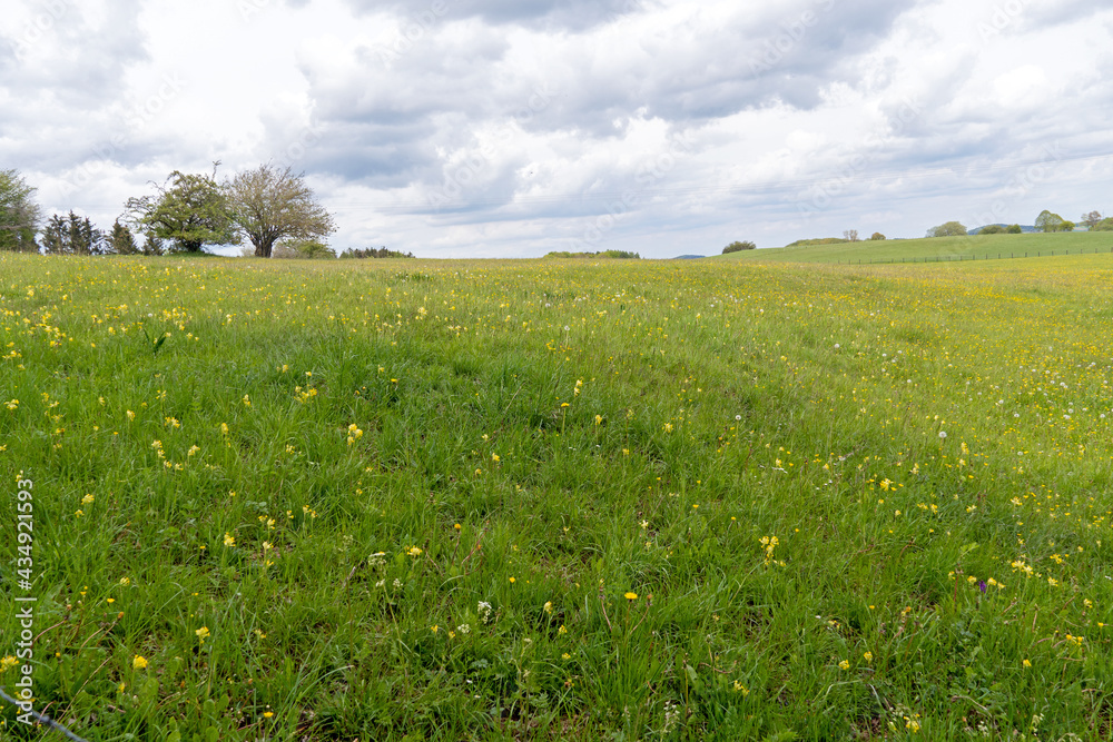 Wandern im Nationalpark Eifel Wandern im Nationalpark Eifel