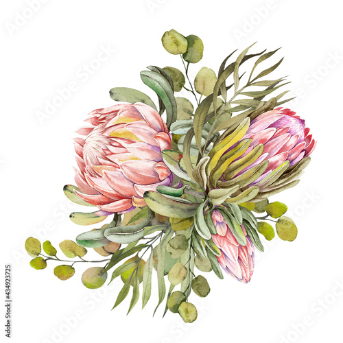 Watercolor protea flower bouquet. Hand drawn illustration on white background.