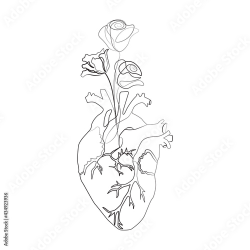 Line art sketch of human heart flowers, vector illustration