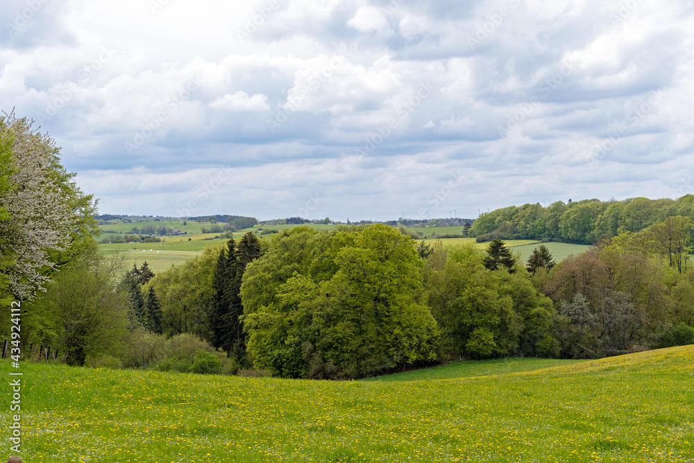 Wandern im Nationalpark Eifel Wandern im Nationalpark Eifel