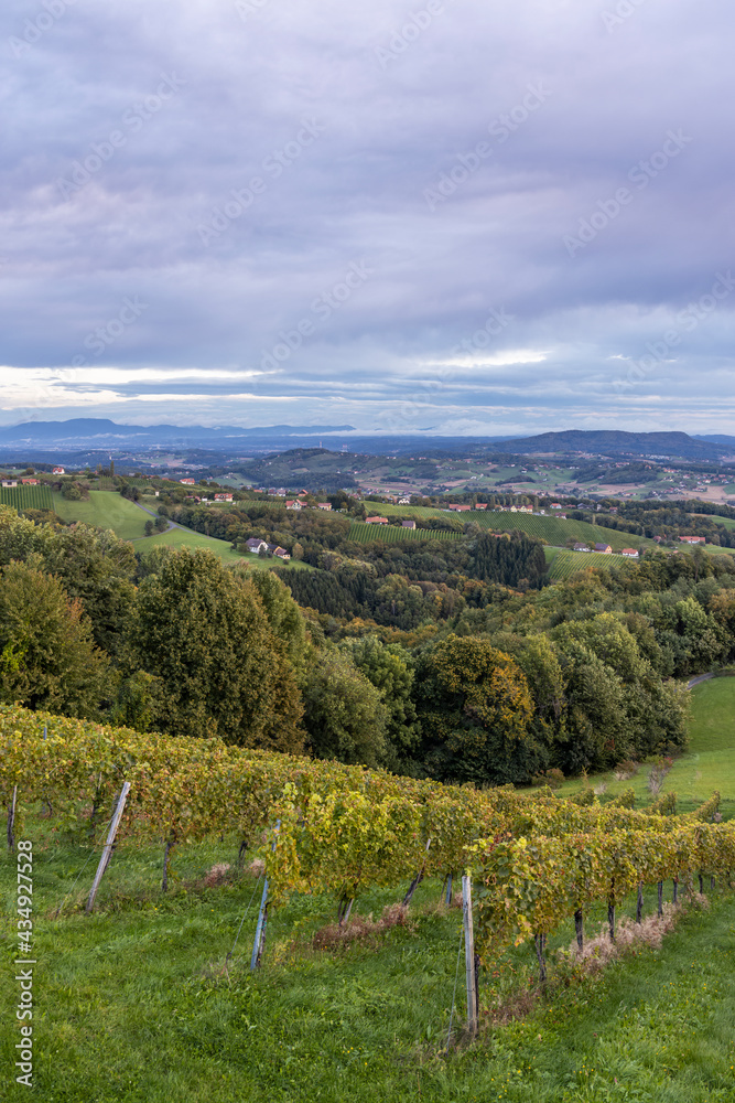 Highest vineyards in Austria near the village Kitzeck im Sausal, Styria, Austria