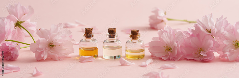 Panoramic header of essential oil bottles with kwanzan cherry blossoms in spring Panoramic header of essential oil bottles with kwanzan cherry blossoms in spring
