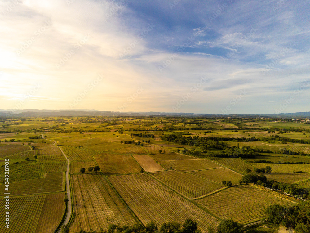 Obraz premium Vinhedo França