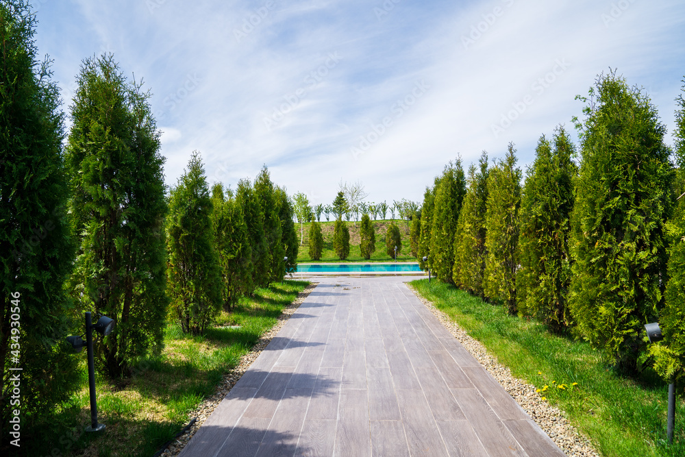 a walkway lined with tiles to the pool between the trees.