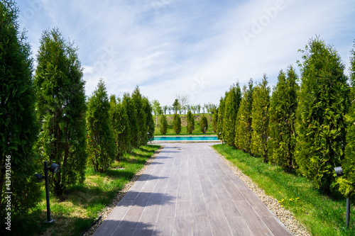 a walkway lined with tiles to the pool between the trees.