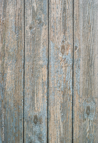 Texture of old wooden boards in old blue paint that has peeled off.