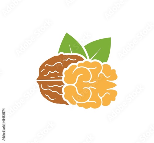 Walnut logo. Isolated walnut on white background