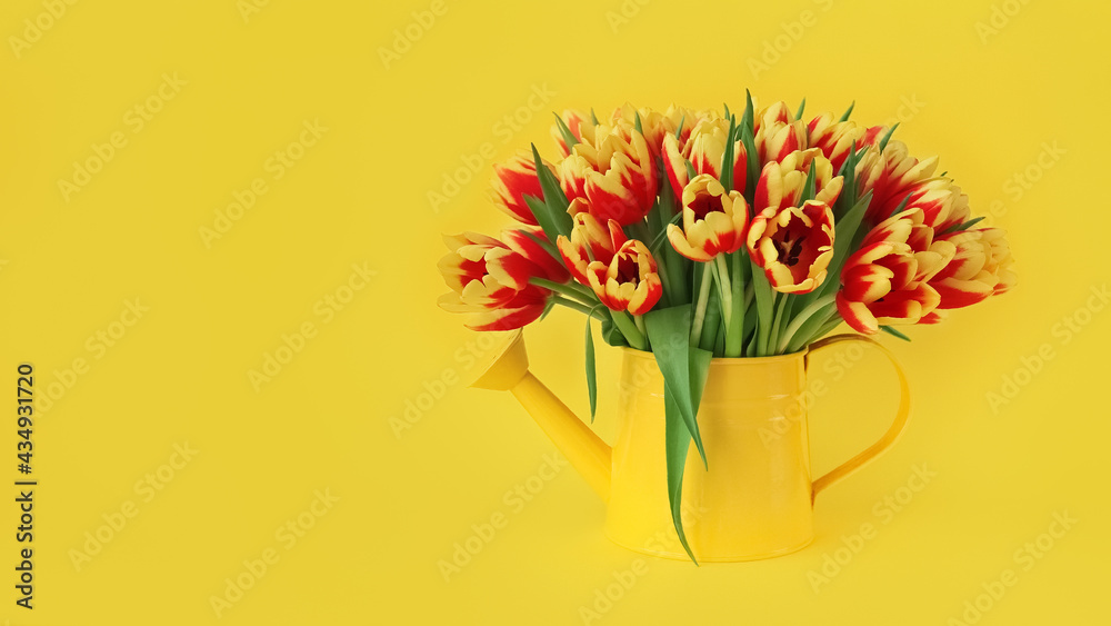 red and yellow tulips in tin can on yellow background