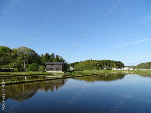 初夏の農村風景