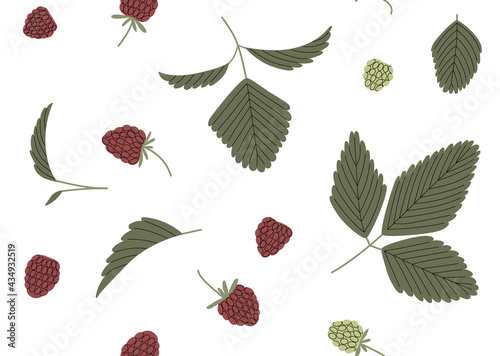 Raspberry vector seamless pattern with branches, leaves and berries color hand drawn illustration. Isolated on white background.