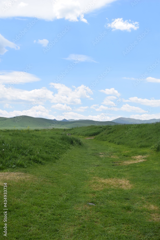 Fototapeta premium grass and blue sky
