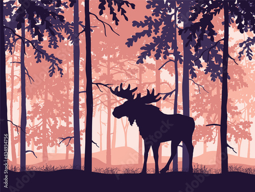 Moose with antlers posing, forest background, silhouettes of trees. Magical misty landscape. Black, pink, orange illustration.