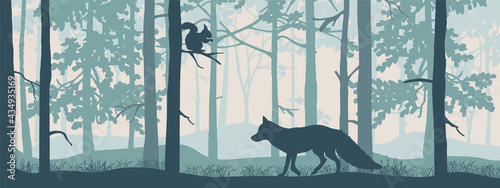 Horizontal banner of forest landscape. Fox and squirrel in magic misty forest. Silhouettes of trees and animals. Blue and white background, illustration. Bookmark. photo