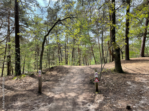 MTB route Hellendoorn at the sallandse heuvelrug national park photo