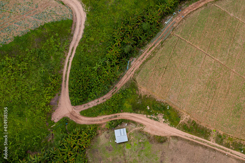 Aerial view or top view, Agricultural area with rural road in valley near wild, Thailand.