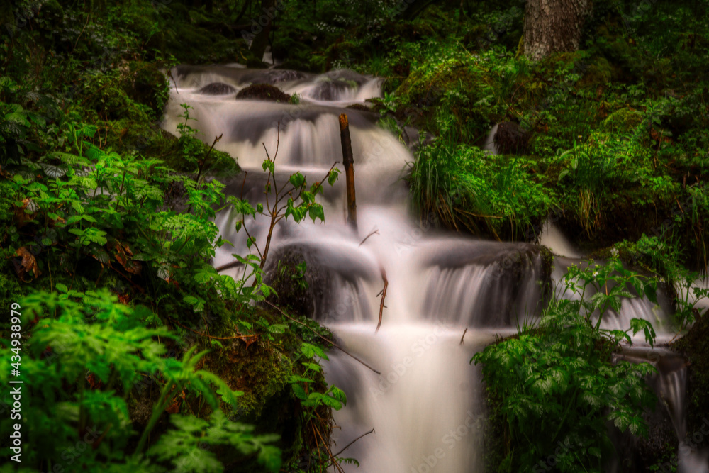 waterfall in the forest