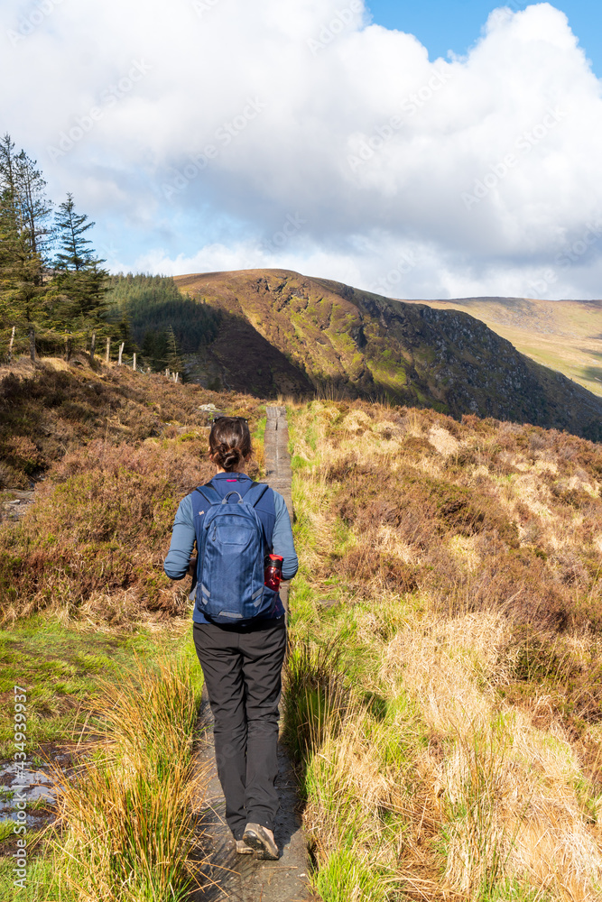Woman hiking alone on the Spinc trail in Wicklow National Park, Ireland. Outdoor activities during COVID pandemic.
